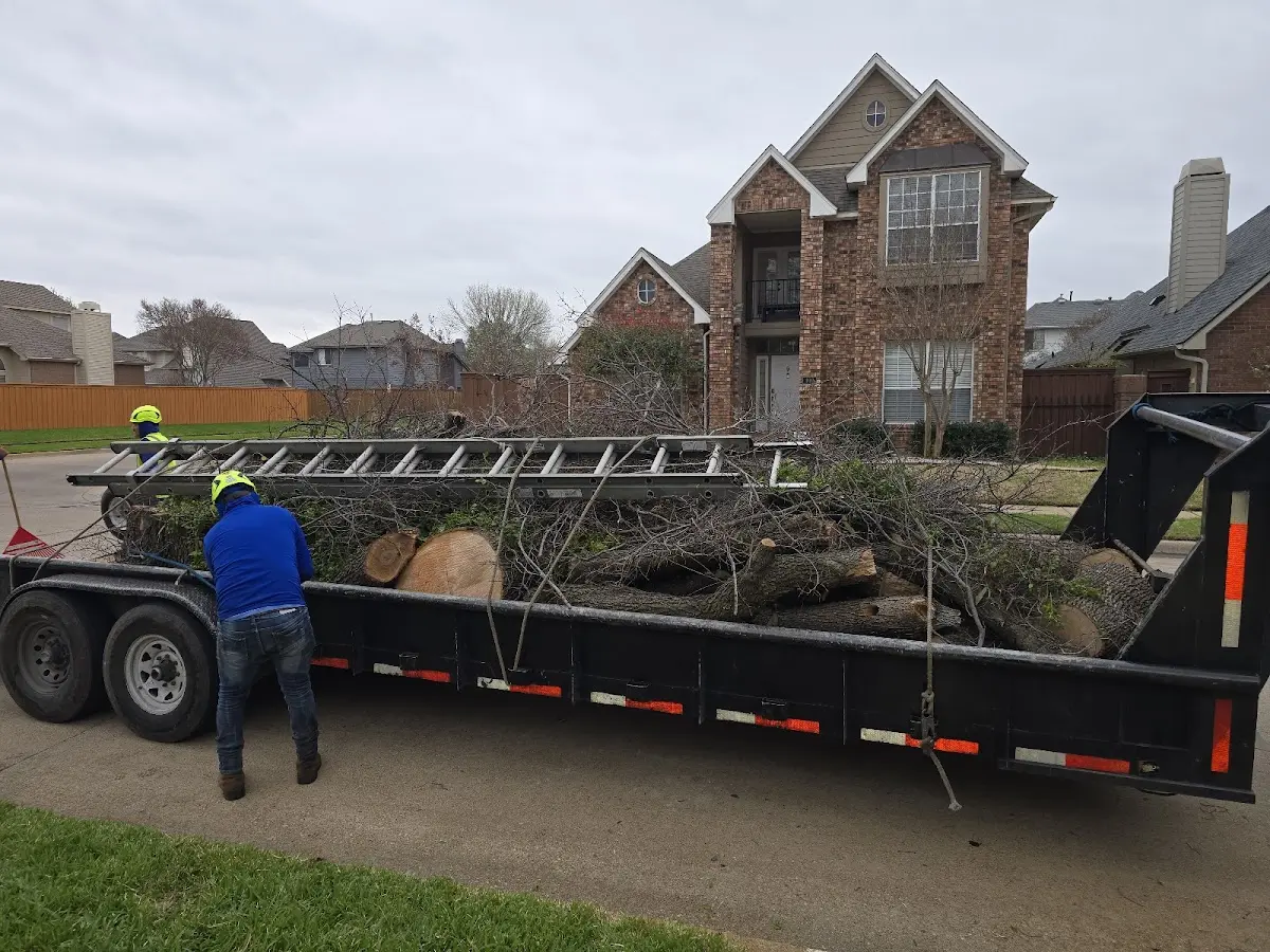 Expert Tree Removal with proper safety equipment in Green River